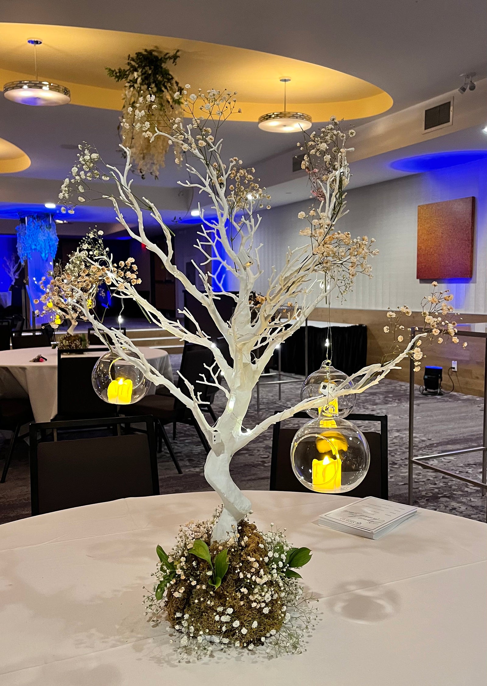 White Manzanita Trees